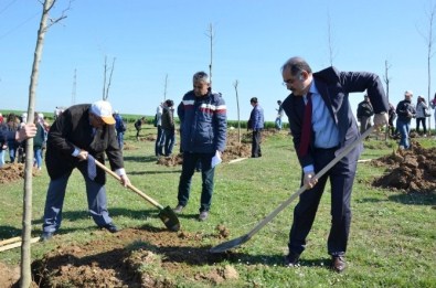 NKÜ'nün Onuncu Yıl Anısına Fidan Dikim Töreni