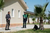 BEDEN DILI - Sayaç Okuma Görevlisine 'Köpeğe Karşı Savunma' Dersi