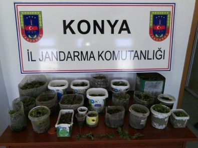 Seydişehir'de Kenevir Operasyonu