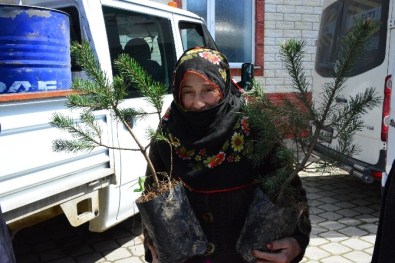 Ünye'de Binlerce Fidan Dağıtıldı