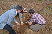 KALAFAT - AK Parti İl Gençlik Kolları, Fidan Dikti