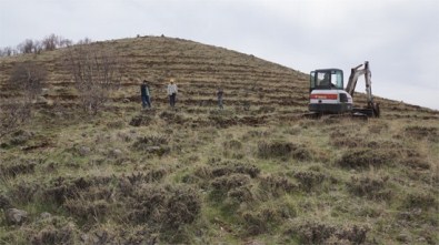 Arguvan'da 250 Kilometrelik Alan Ağaçlandırılıyor