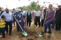 Kadıllı İlkokulu'nda 500 Fidan Toprakla Buluştu