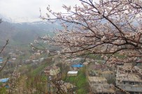 KAR ÖRTÜSÜ - Karlar Eriyince Güzellikler Ortaya Çıktı