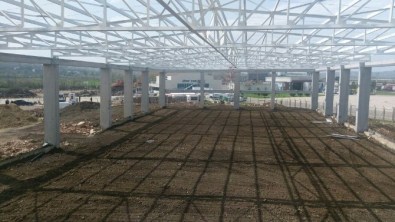 2017 Sinop'un Yılı Olacak