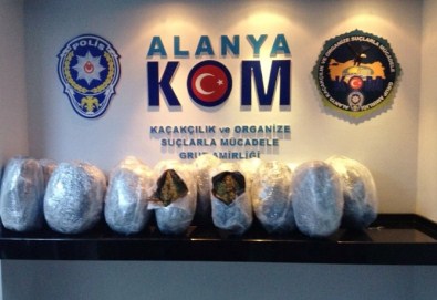 Alanya'da 51 Kilo Esrar Ele Geçirildi