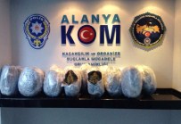 Alanya'da 51 Kilo Esrar Ele Geçirildi
