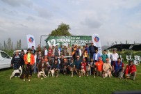 ERCAN ATEŞ - Balıkesir'de Av Köpekleri Yarıştı