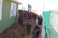 DEMOKRATIK TOPLUM KONGRESI - Başkale'de 'Her Evin Önünde Bir Meyve Fidanı Olsun' Projesi