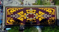 LALE FESTİVALİ - Dev Lale Halısı Havadan Görüntülendi