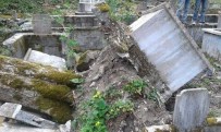 Devrilen Çam Ağacı Dört Mezarı Tahrip Etti
