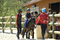 TÜRKIYE BINICILIK FEDERASYONU - Kocaelililer Ata Binmenin Keyfini Yaşıyor