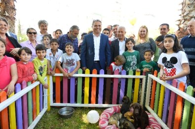 Muratpaşa Belediyesi, 13 Köpek Ve 5 Kediyi Sahiplendirdi