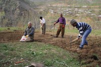 ORMANLı - Sınır Köylerinde Bahar Mesaisi