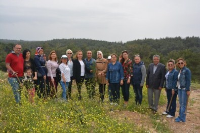 Torbalı'da Ağaç Seferberliği