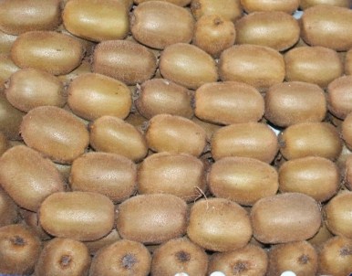 Uzunlar Açıklaması 'Yaşanan 'Zirai Don' Rekolteyi Etkilemez'