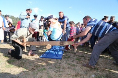 Bodrum'da Pedasa Festivali Başlıyor