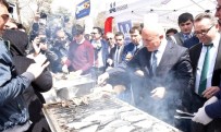 HAMSİ FESTİVALİ - Büyükşehir Ve AÜ'den Balık Şenliği
