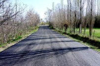 BAŞPıNAR - Dilek Mahallesi'nin Yolları Yapılıyor