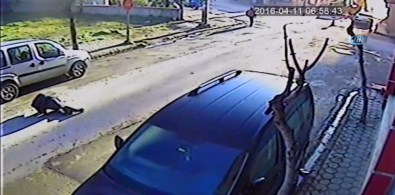 Doğalgaz Patlaması Güvenlik Kamerasında