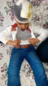 Patnos'ta sokak köpeği dehşeti