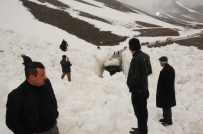 ÇIĞ ALTINDA - Van-Bahçesaray Yoluna Çığ Düşmesi