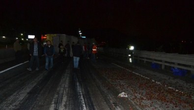 Çilek Yüklü Kamyon Devrildi Açıklaması 2 Yaralı