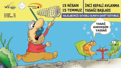 İnci Kefali Balığı Avlanma Yasağı Başlıyor