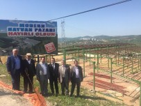 SAMANLıK - İzmit Belediyesi'nin Modern Hayvan Pazarı Büyük İlgi Görüyor