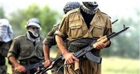 PASAPORT KONTROLÜ - PKK'nın Üst Düzey Sorumlusu İsveç'te Yakalandı