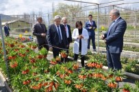 SÜLEYMAN KAHRAMAN - Vali Kahraman; 'Kendi Lalelerimizi Üretip Dünya Pazarında Yer Alacağız'