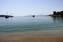 BITEZ - Bodrum Yaza Girdi Bile !