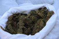 DİYARBAKIR EMNİYET MÜDÜRLÜĞÜ - Diyarbakır'da 287 Kilo Esrar Ele Geçirildi