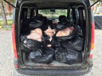 Diyarbakır'da 500 Kilo Kaçak Et Yakalandı