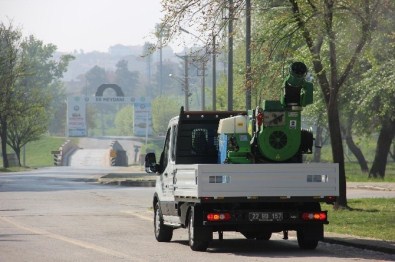 Kırkpınar Öncesi Sivrisinekle Mücadele Hızlandırıldı