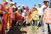 Mezitli'de Zeytin Ve Defne Koruluğu Açıldı