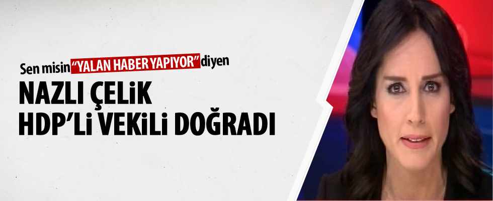 Nazlı Çelik'ten Yüksekova yanıtı