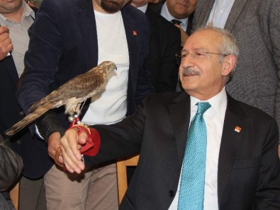 CHP Genel Başkanı Kılıçdaroğlu Rize'de