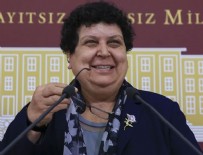 BEYAZ HABER - CHP'li Şenal Sarıhan: Hukuk diliyle konuşuyorum