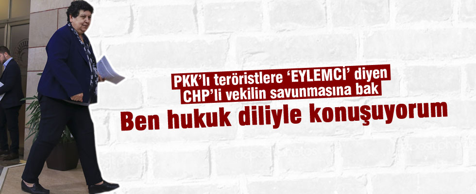 CHP'li Şenal Sarıhan: Hukuk diliyle konuşuyorum