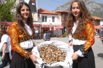 FETHİYE KAYMAKAMI - Fethiye'de Mantar Festivali Coşkusu