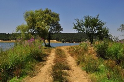 Mysia Yolları Doğa Tutkunlarını Ağırlayacak