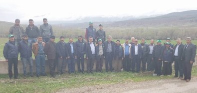 Özvatan, Develi Ve Tomarza'da Pancar Tarımına İlgi Artıyor