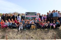 Her Öğrenci Kendi Ağacını Dikti