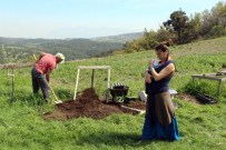 TARIM İLACI - (Özel) Doğaya Göbekten Bağlılar