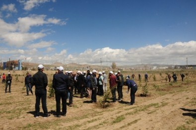 Van'da 'Harun Konak Hatıra Ormanı' Oluşturuldu