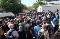 İSKENDER YÖNDEN - Didim'de Kutsal Yol Yürüyüşüne Büyük İlgi