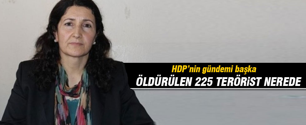 HDP'li vekil PKK'lıların bilgisini istedi