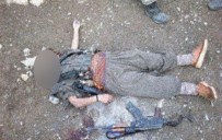 PKK Ölenlerin Sayısı Az Görünsün Diye Bunu Yapıyor!