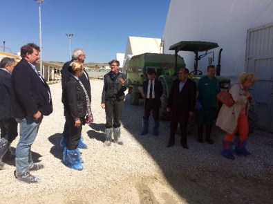 Almanya'nın Ankara Büyükelçisi Erdmann Açıklaması